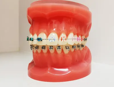 Krętowska Stomatologia Białystok. Gabinet dentystyczny. Ortodoncja Białystok